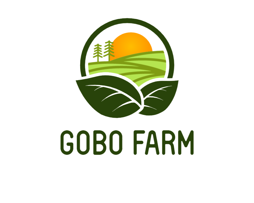 Củ Ngưu Bàng Sạch GoboFarm | Trồng Và Bán Củ Ngưu Bàng Toàn Quốc